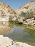 Israelreise 2016